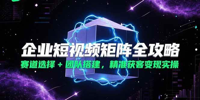 （15242期）企业短视频矩阵全攻略，赛道选择+团队搭建，精准获客变现实操-领学通