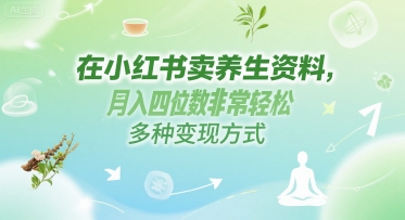 在小红书卖养生资料，月入四位数非常轻松，多种变现方式-领学通