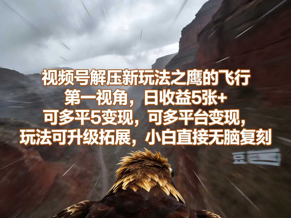 视频号解压新玩法之鹰的飞行第一视角，日收益5张+，可多平台变现，玩法可升级拓展，小白直接无脑复刻-领学通