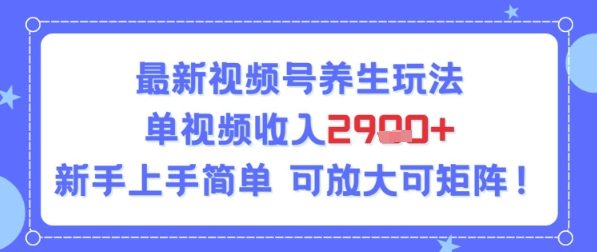视频号养生玩法，单视频收入2.9k，新手上手简单-领学通