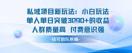 私域项目新玩法小白玩法单人单日突破1k的收益人群质量高付费意识强-领学通