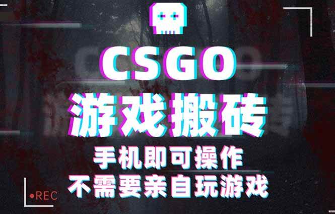 （16090期）CSGO游戏挂机捡漏，单日扫货500+，年底小高峰上车可吃肉，手机即可操作…-领学通