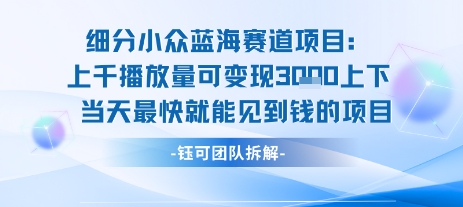 小众蓝海赛道项目：当天变现1k+适合新手操作 +适合长期玩-领学通